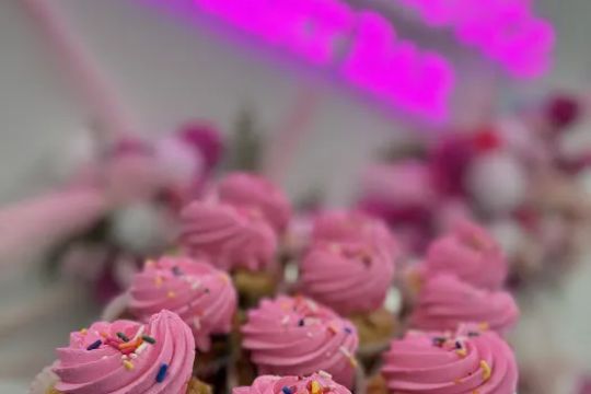 Au2019 La Carte Dessert Bar