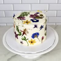 Plant Baked by Sarah ico