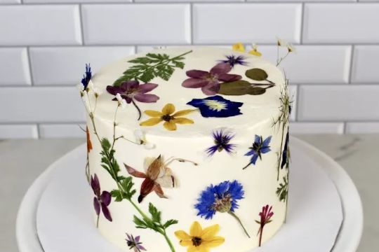 Plant Baked by Sarah