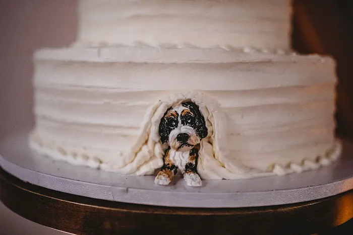 SugarBakers Cakes Picture 5
