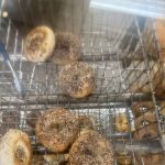 Bagel Bin - Ellicott City