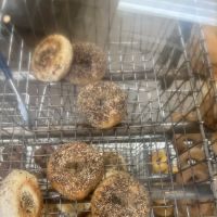 Bagel Bin - Ellicott City ico