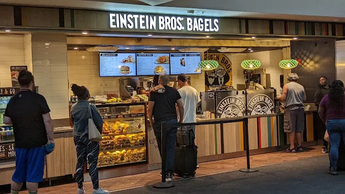 Einstein Bros. Bagels Picture 6
