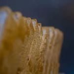 Motherland Goodness: Taste of Africa In A Bag Inc.