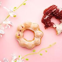 Bon Bakes ico