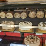 Mo Mo Bakery