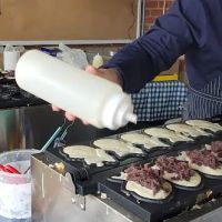 Delimanjoo ico