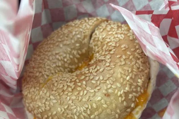 Bullfrog Bagels