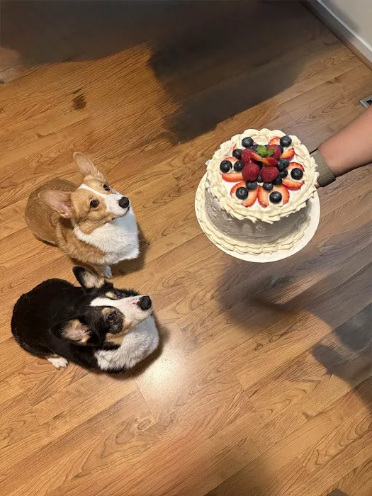 DOGGANIC TREATS, LLC Picture 10