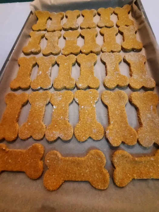 DOGGANIC TREATS, LLC Picture 7