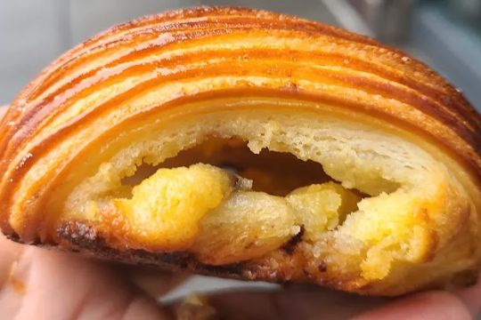 Pluma by Bluebird Bakery