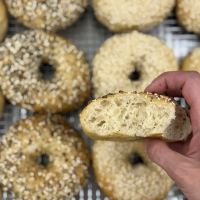 District Bread ico