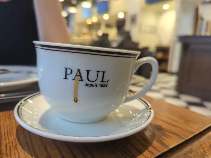 PAUL Picture 3