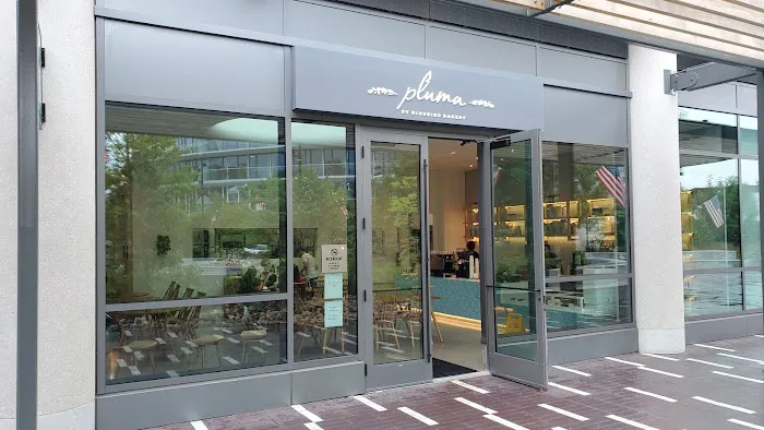 Pluma by Bluebird Bakery Picture 9