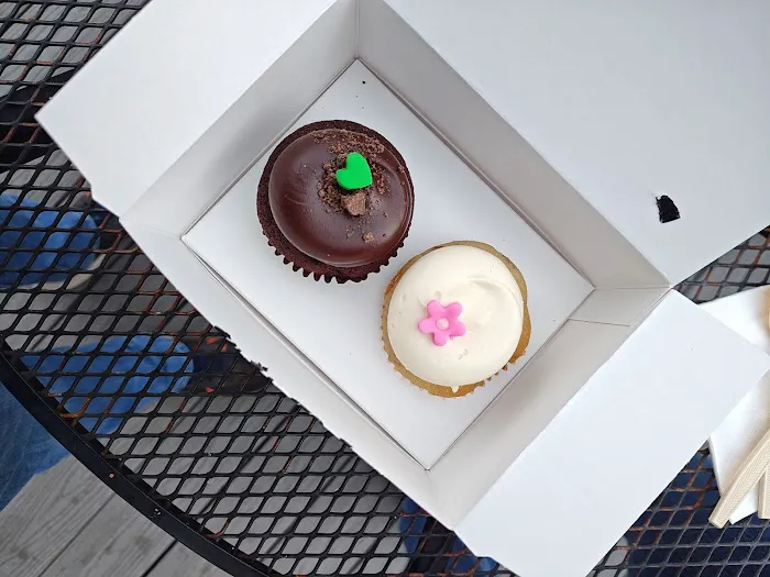 Georgetown Cupcake Picture 4