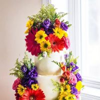 Sweet Elevations Cakes and More ico