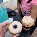 Lavender Moon Cupcakery