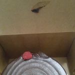 CakeLove (Warehouse)