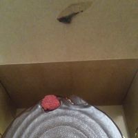 CakeLove (Warehouse) ico