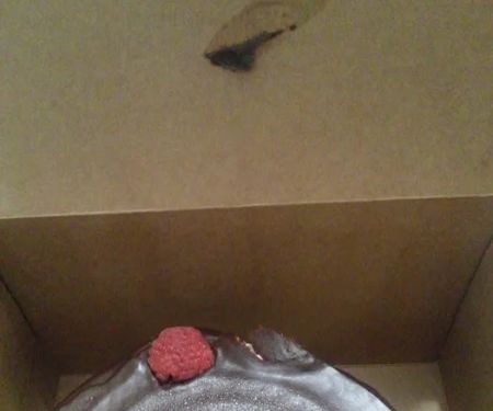 CakeLove (Warehouse)