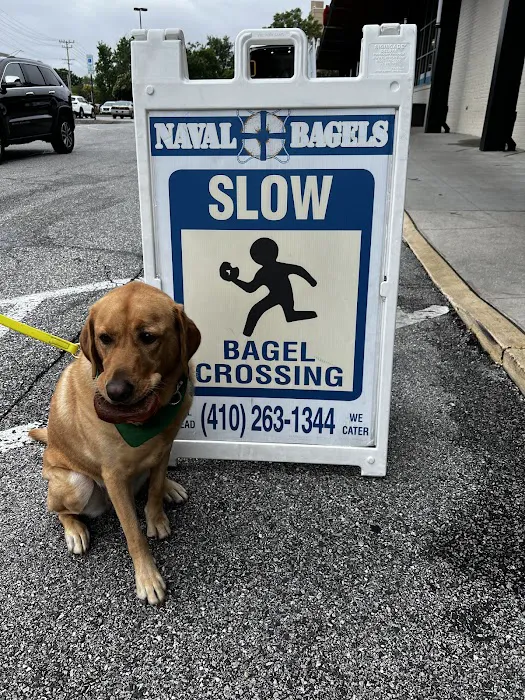 Naval Bagels Picture 6
