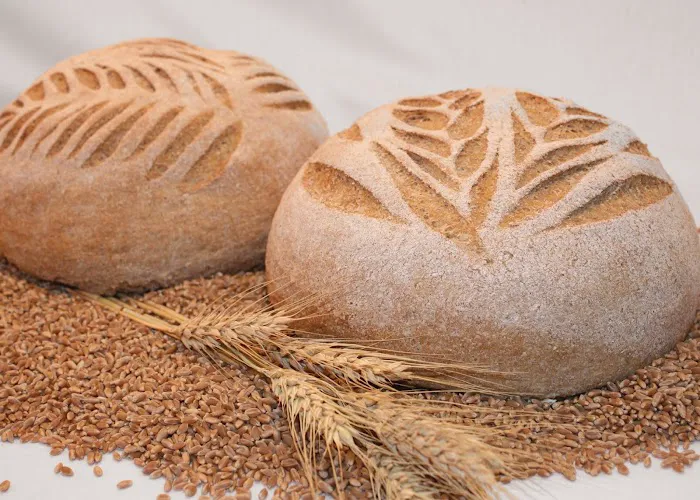 Great Harvest Bread Company Picture 1