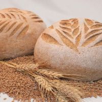 Great Harvest Bread Company ico