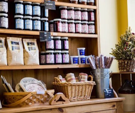 Great Harvest Bread Co - Vienna
