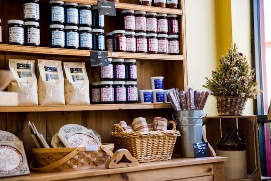 Great Harvest Bread Co - Vienna