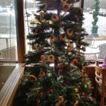 Chesapeake Bagel Bakery