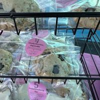 Daily Kneads Bakery ico