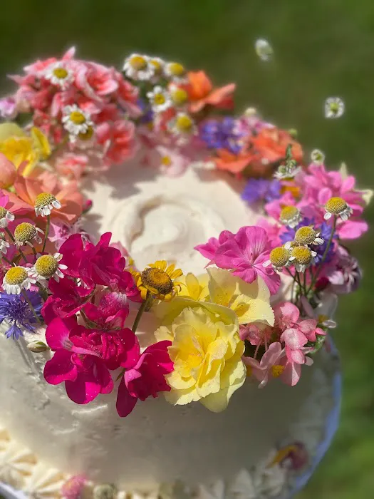 Lillian Nathalie Cake Picture 10
