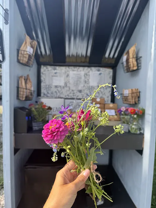 Lewis Lane Farmstand Picture 7