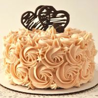 Shannon Turner Cakes ico