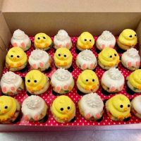 Smallcakes Woodstock ico