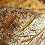 Sourdough Harvest