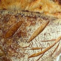 Sourdough Harvest ico