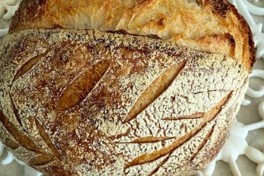 Sourdough Harvest