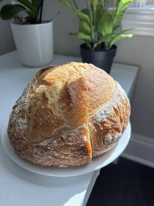 Sourdough Harvest Picture 7