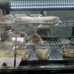 The Burnt Mountain Pie Company