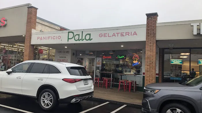 Pala Picture 2