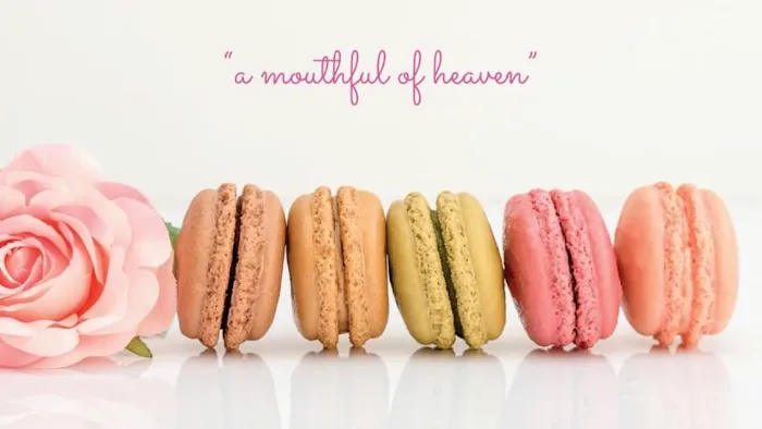 Le Macaron French Pastries - Avalon Picture 2