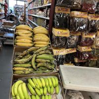Panaderia San Diego ico