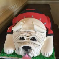 Cake Envy ico
