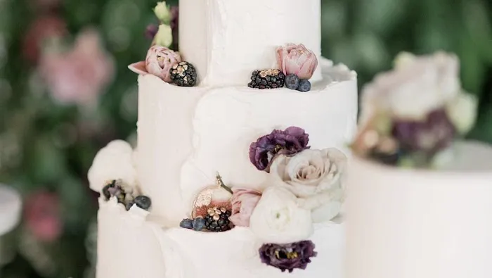 Cake Envy Picture 5