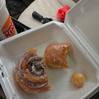 Tasty donuts Palmetto ico