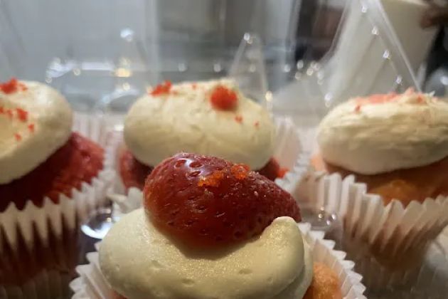 Sasha Sweet's