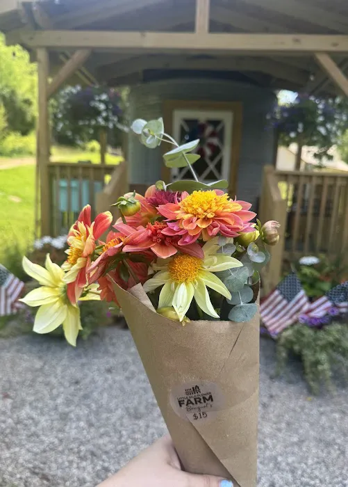 Little Silo Flower Farm & Farmstand Picture 9
