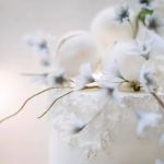 Elaine Drouin Cakes