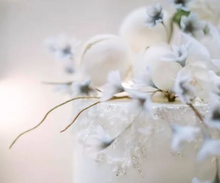Elaine Drouin Cakes
